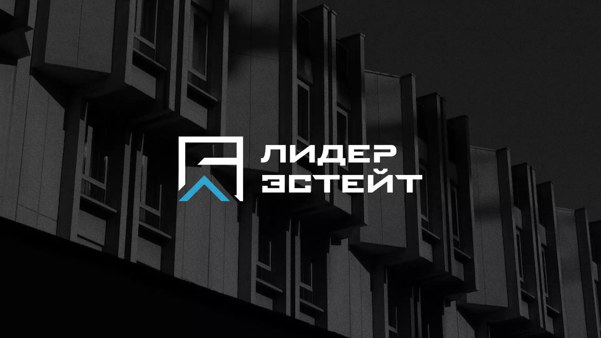 Разработка логотипа агентства недвижимости «Лидер Эстейт» в Бежецке